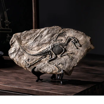 Dinoszaurusz fosszília tanulmány Otthon Nappali Tornác dekoráció Kézműves ablak Kellékek dekoráció